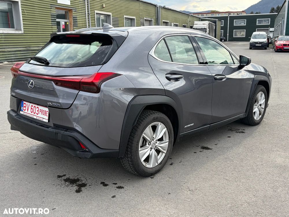Lexus UX 250h Business Edition - 14