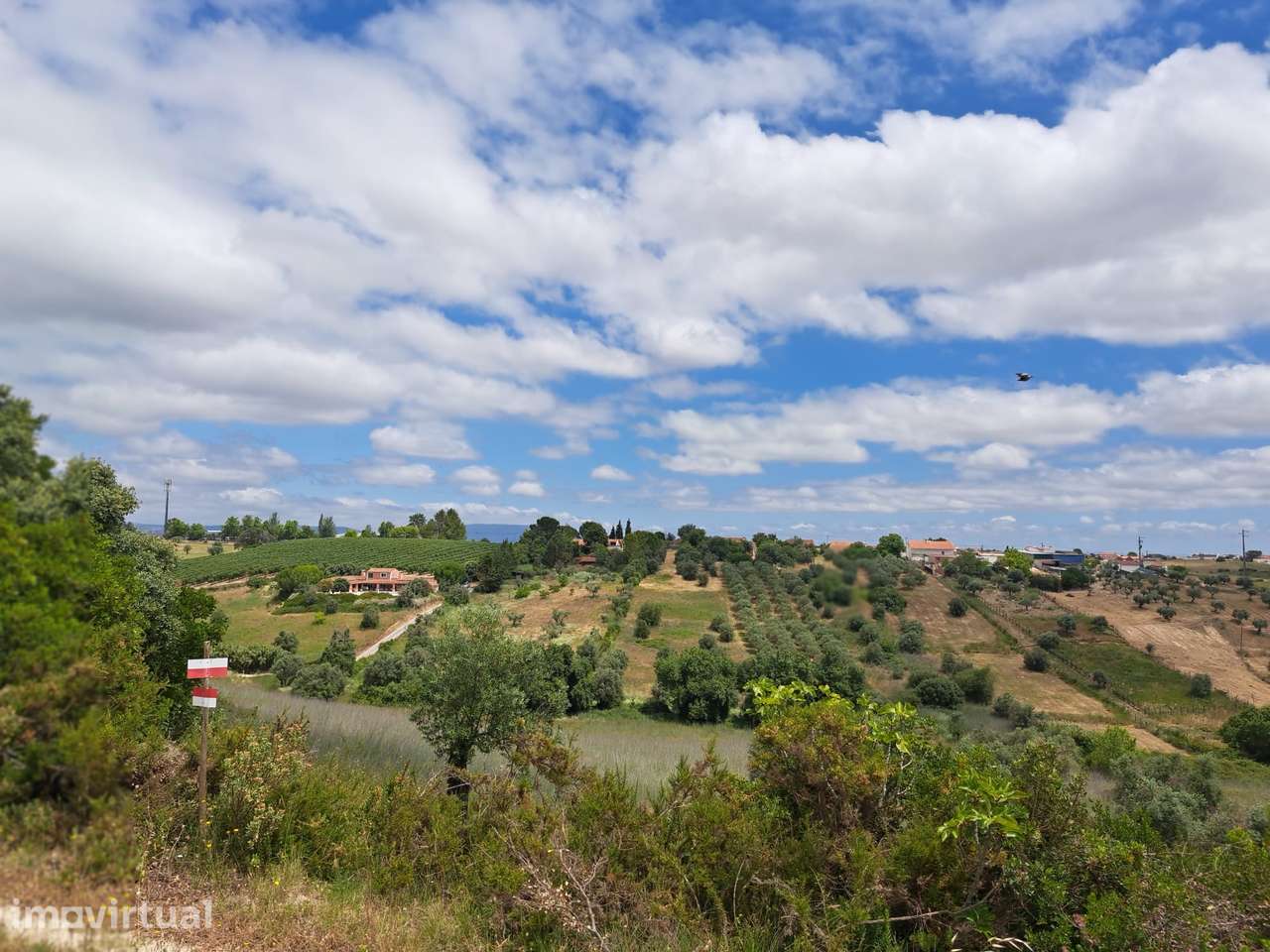 Terreno com Moinho e Ruína - Casais da Bufinha - Grande imagem: 5/6