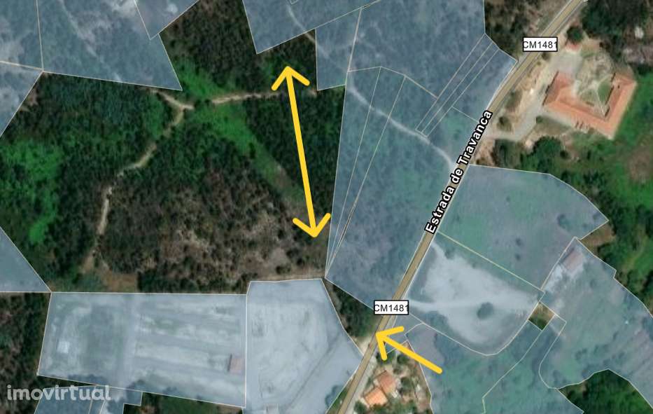 Terreno rústico junto à Feira de Carregal do Sal - Grande imagem: 2/9