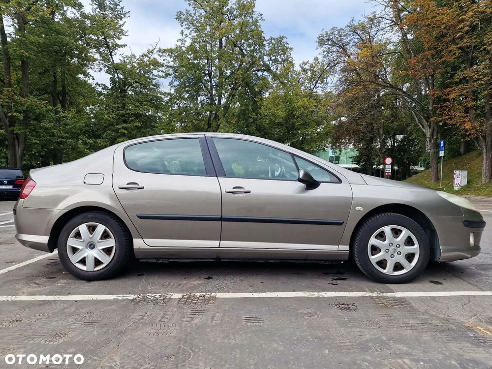 Peugeot 407 - 18