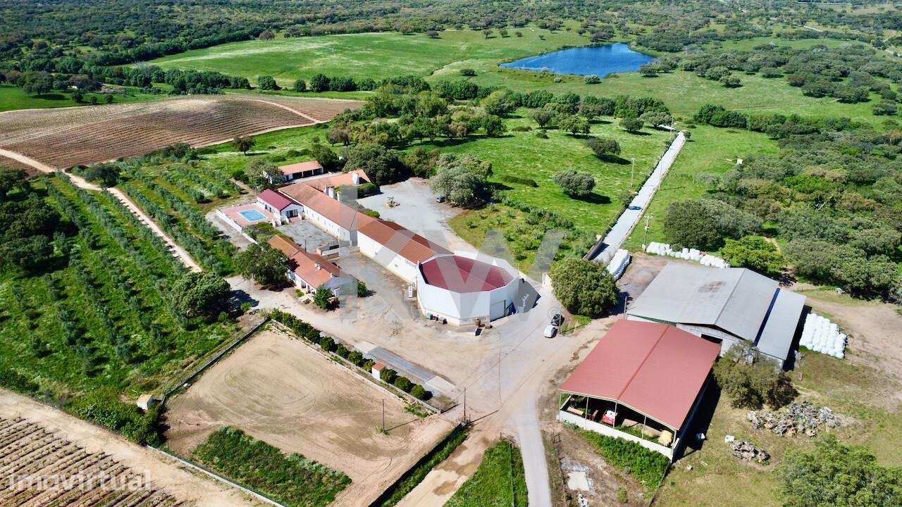 Herdade no coração do Alentejo de 307 hectares, com produção vinícola, - Grande imagem: 4/39