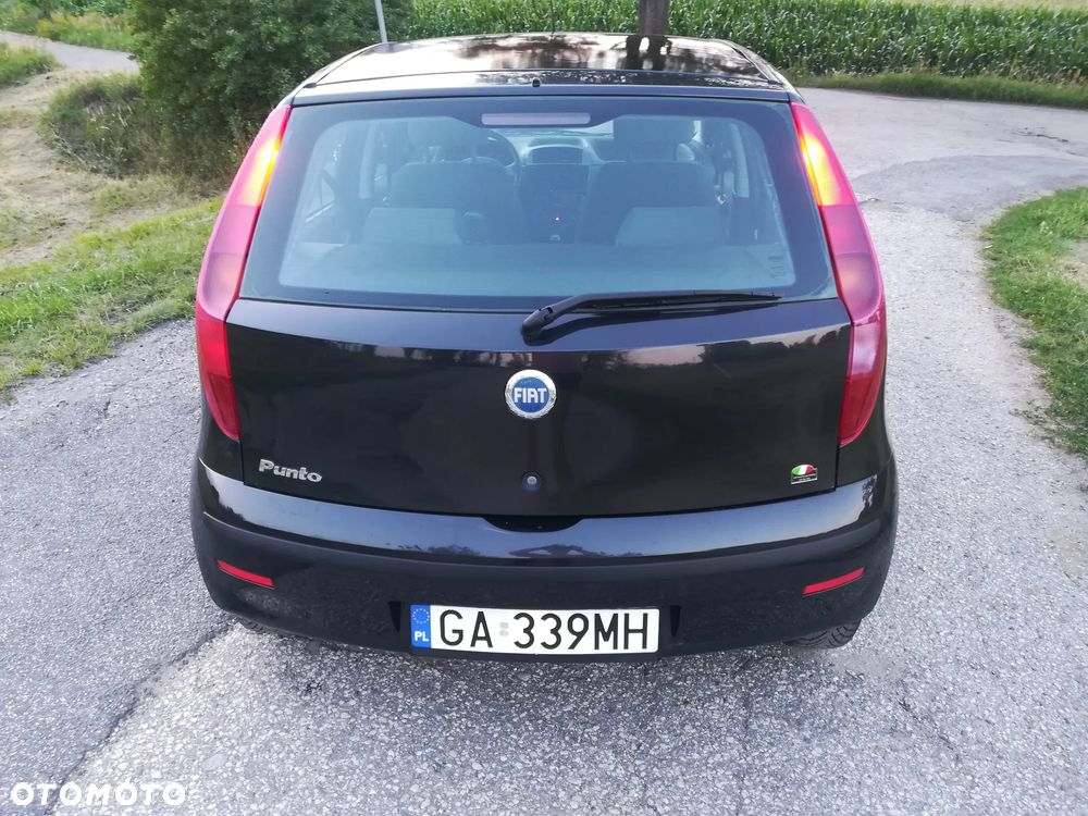 Fiat Punto 1.2 8V Active - 6