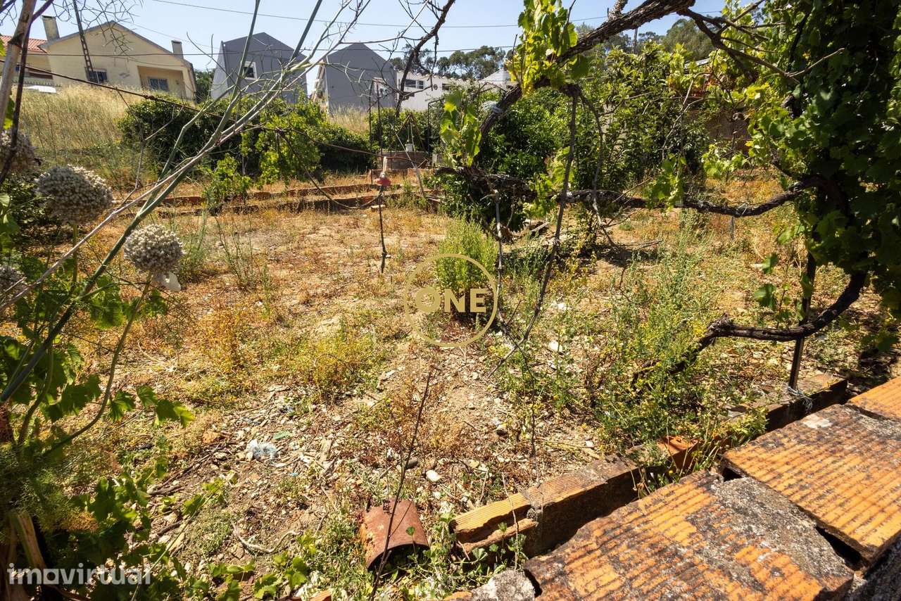 ***TERRENO URBANO CANEÇAS*** - Grande imagem: 5/11