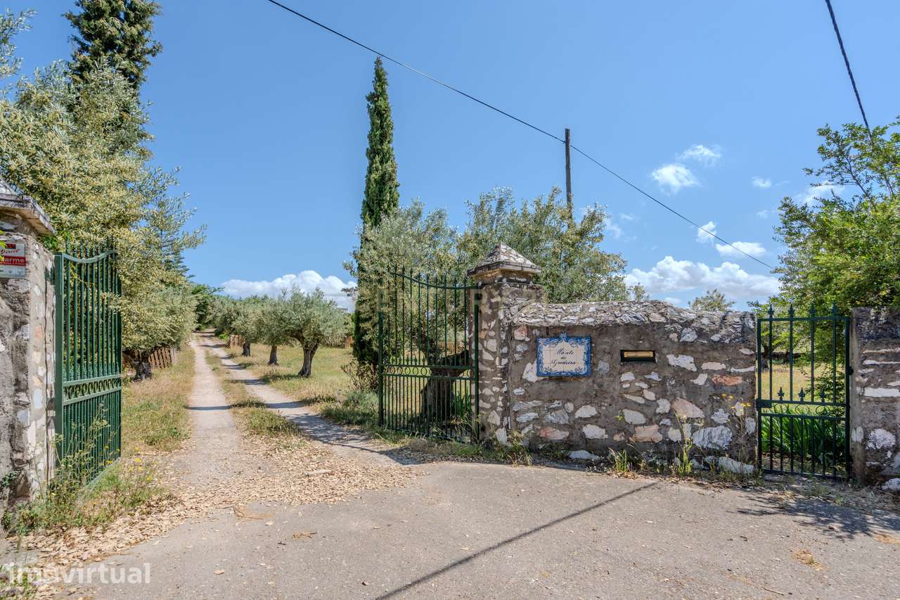 Quinta T3+3  com 4 HA em Borba – Natureza, Produção Agrícola e Confort - Grande imagem: 3/37