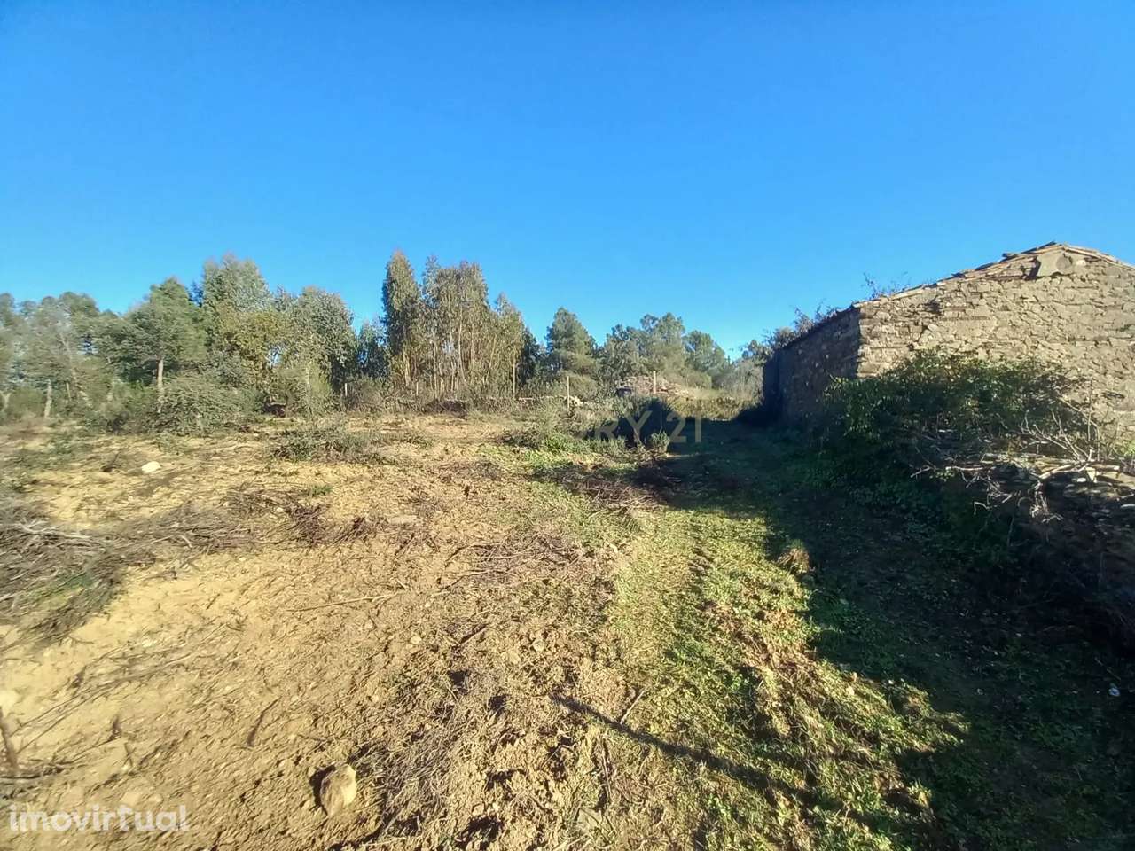 Quintinha com 15.540m2 Sarnadas de Ródão - Grande imagem: 4/19