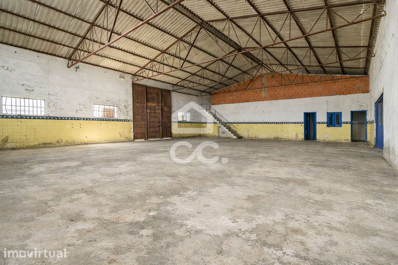 Quinta de 0,6 ha c/ Armazém e Moradia T3 para Recuperar em Arraiolos, - Grande imagem: 4/47
