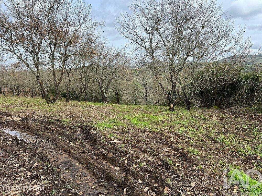 Terreno em Almargem do Bispo, Pêro Pinheiro e Montelavar - Grande imagem: 2/16