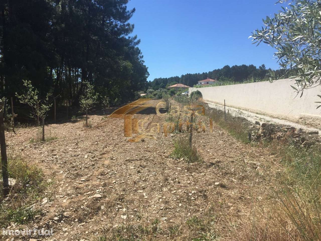 Terreno junto à E.N. 322 - Grande imagem: 3/6