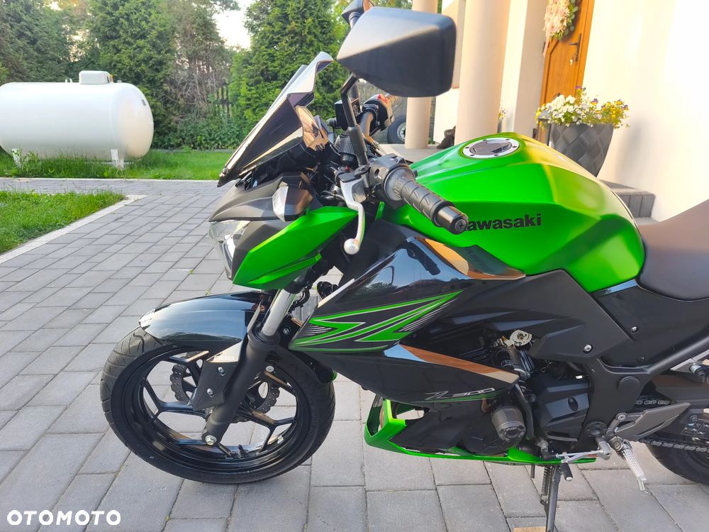 Kawasaki Z - 20