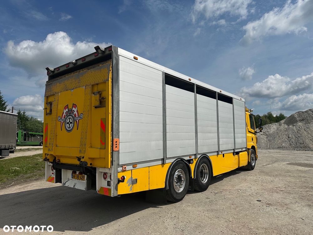 DAF CF 440  DO BYDLA -ZWIERZAT -ZYWCA - 7