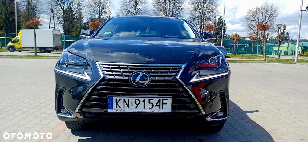 Lexus NX 300 - 6