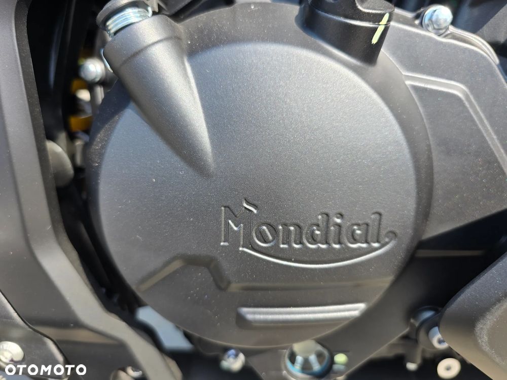 Mondial Piega - 4
