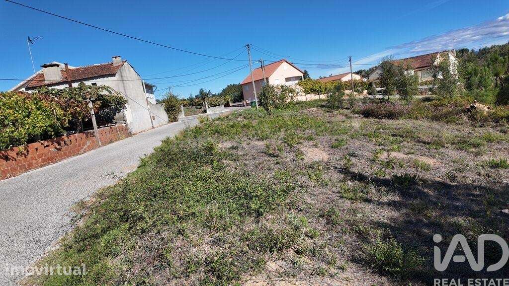 Terreno Agrícola em Graça - Grande imagem: 4/4