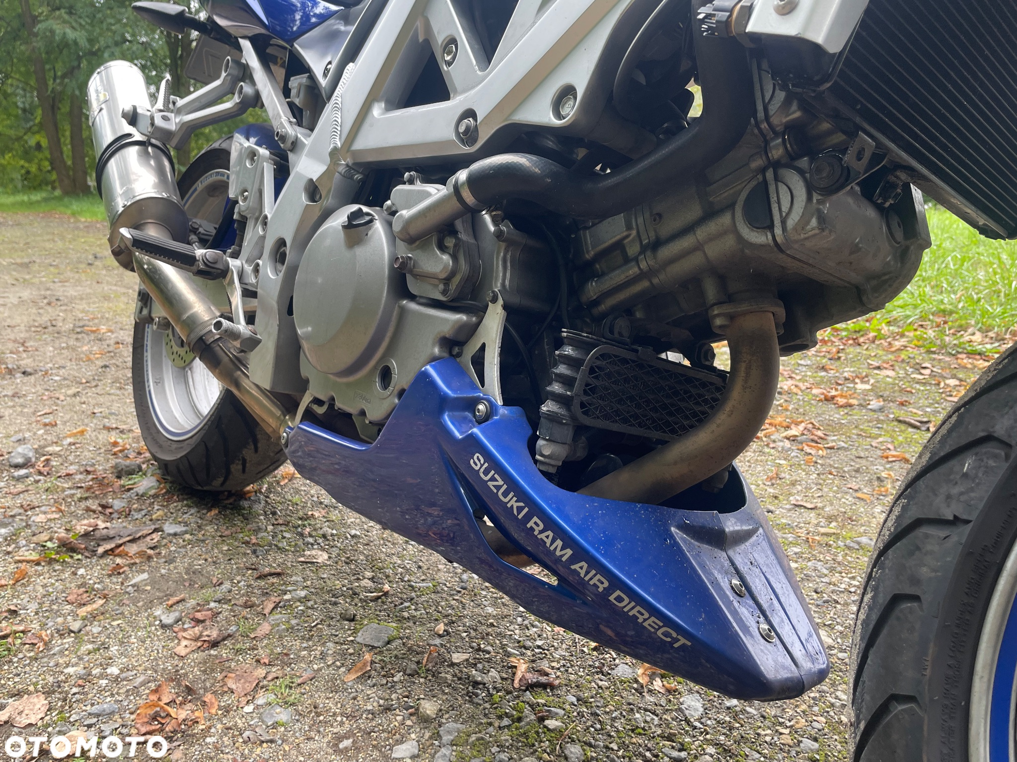 Suzuki SV - 17