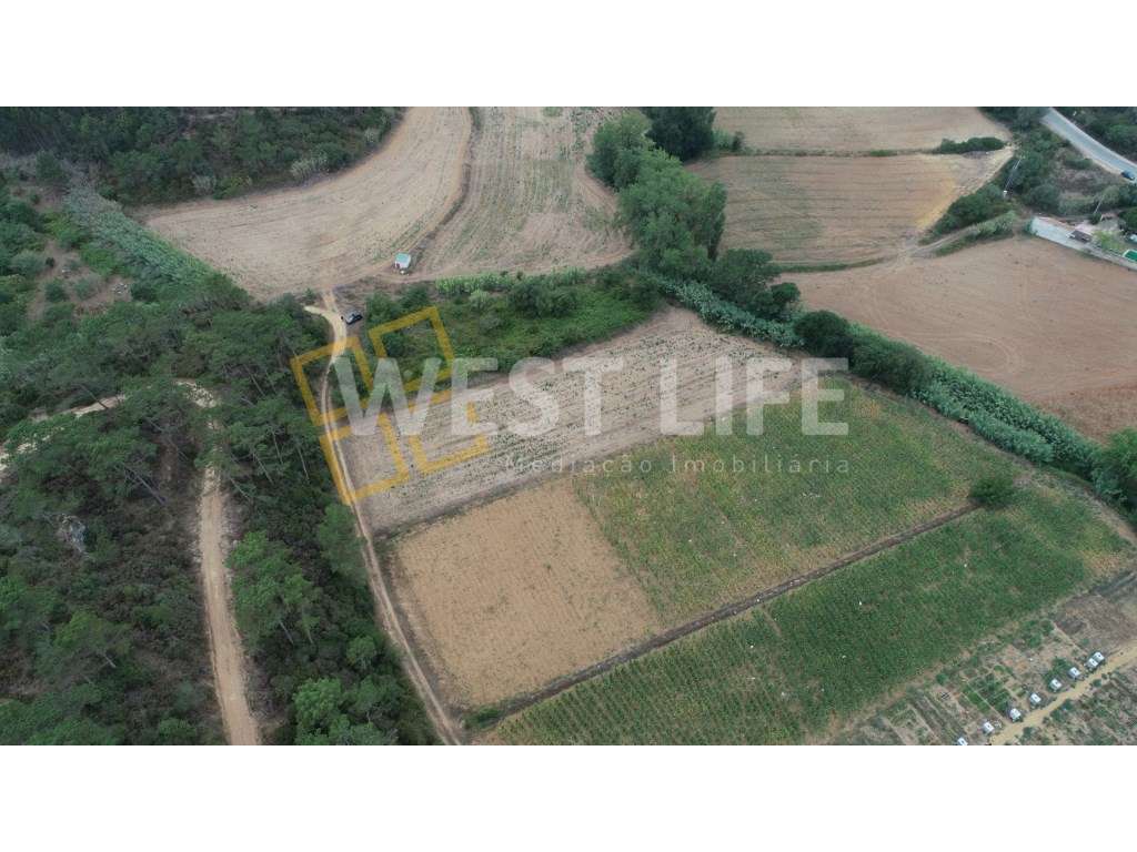 Terreno Rústico/ Agrícola de 3500m2 - Ericeira - Grande imagem: 4/17