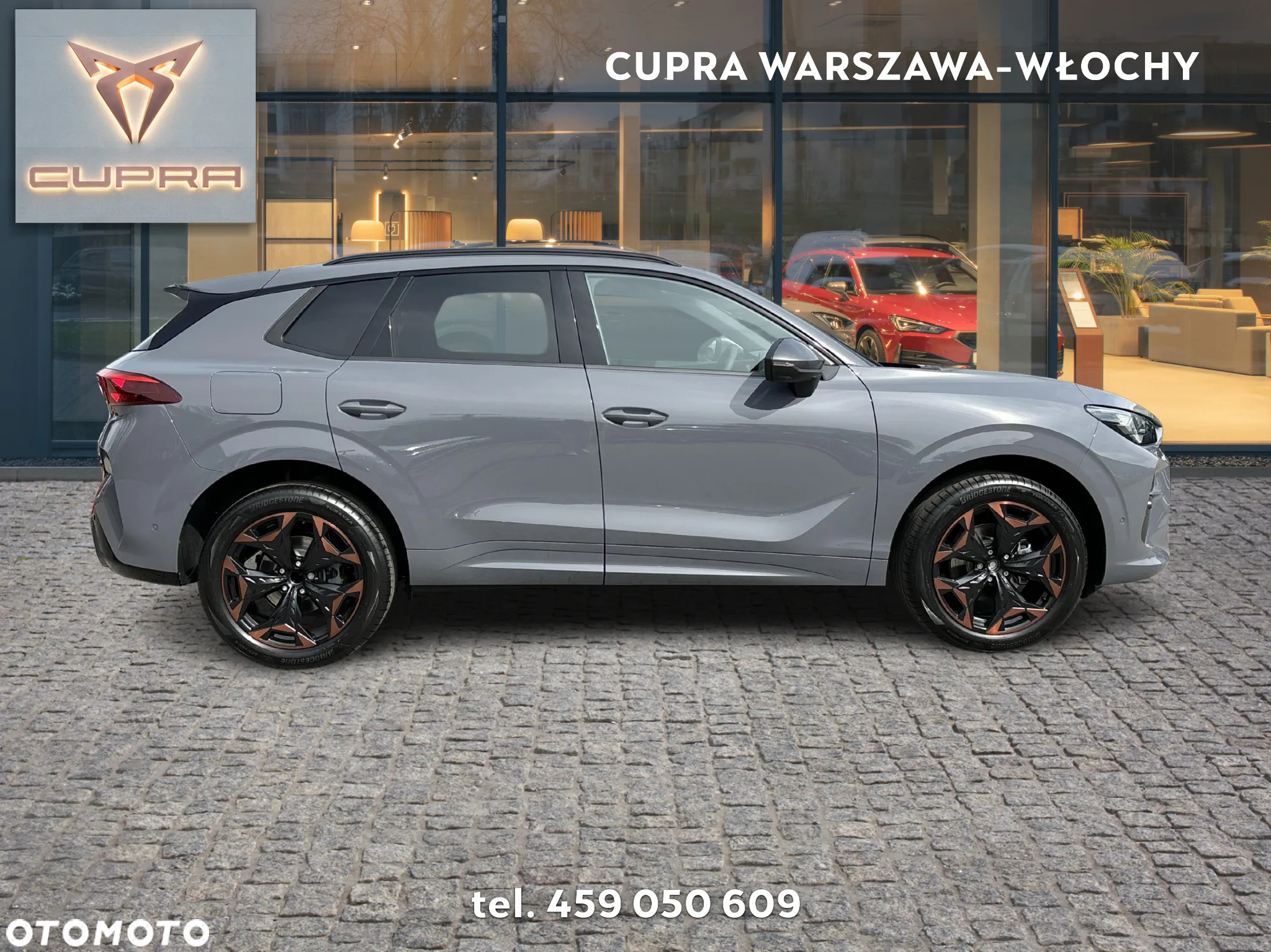 Cupra Terramar - 6