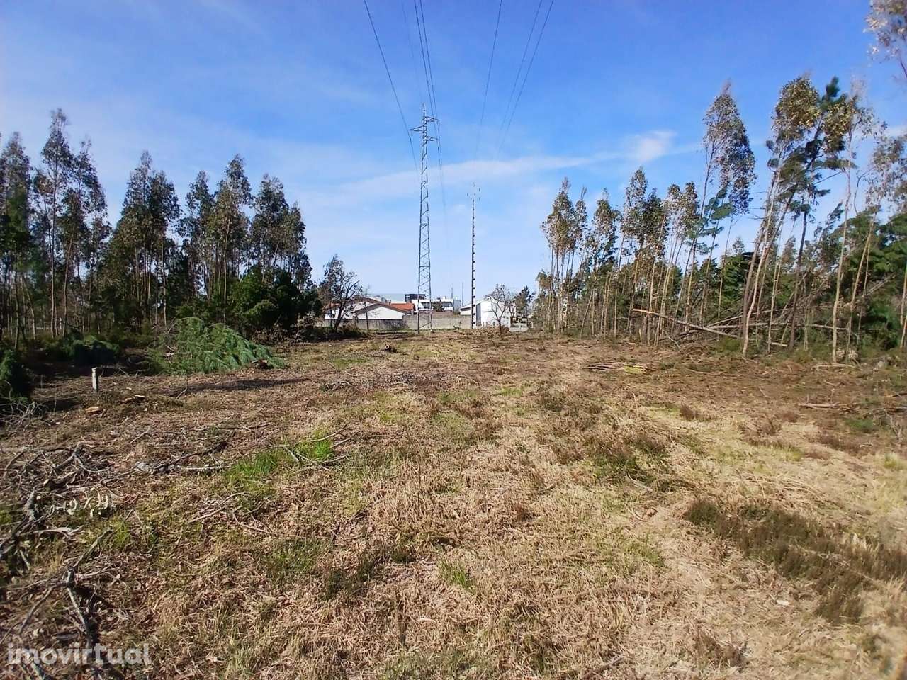 ​​​​​​​​​​​​​​Terreno com 6.970 m2 na Pedrulheira – Marinha Grande - Grande imagem: 5/19