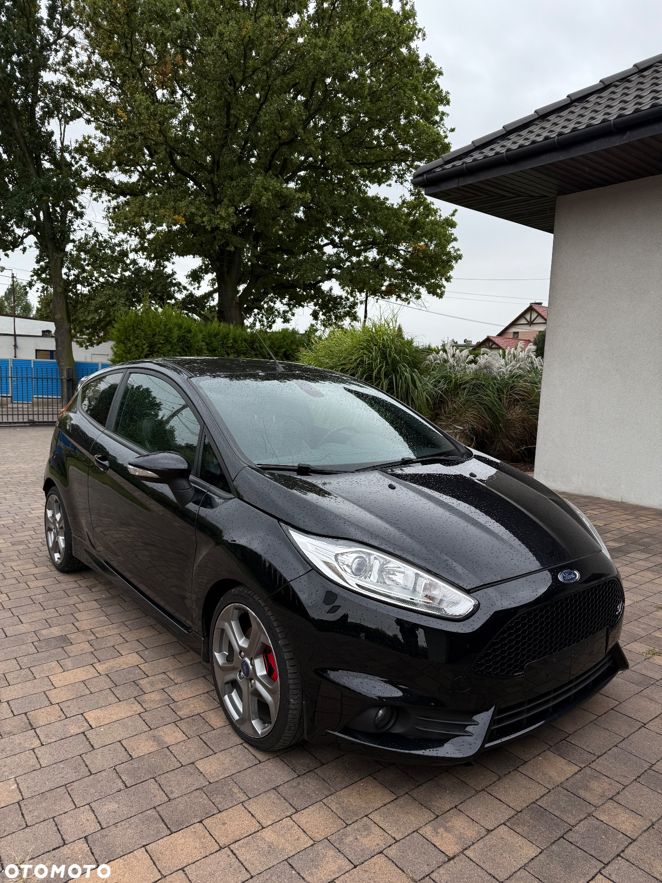 Ford Fiesta ST2 - 3