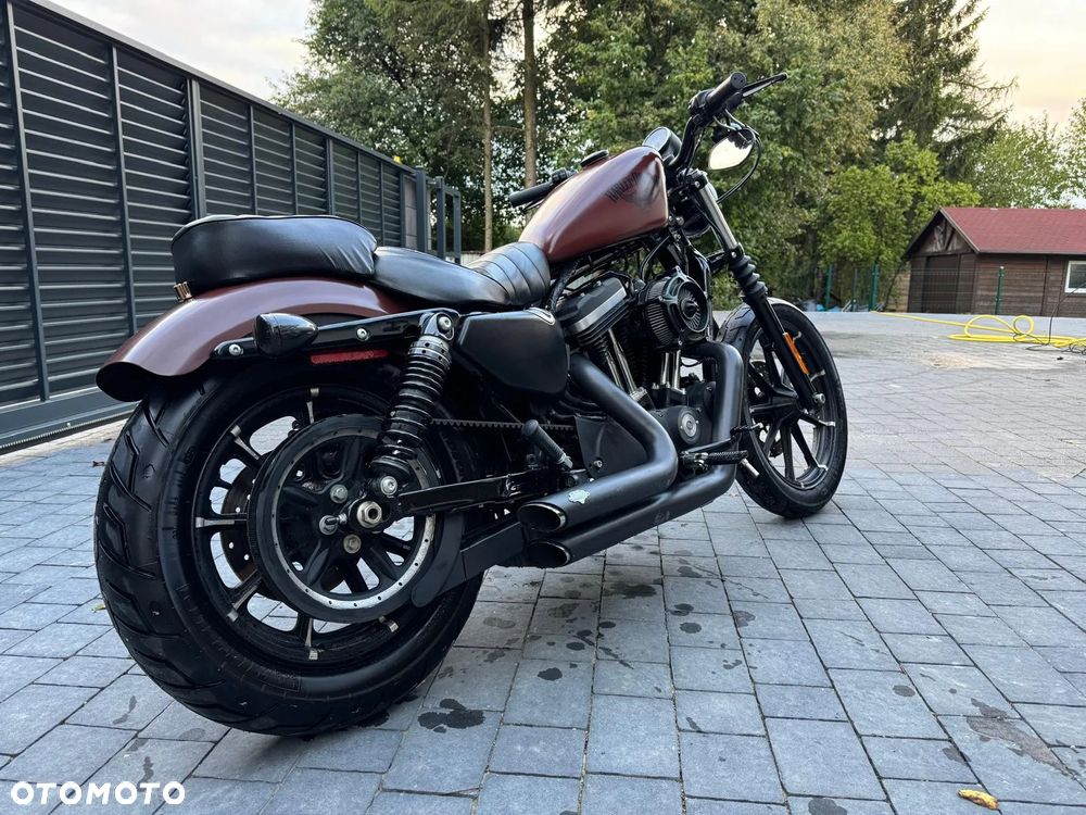Harley-Davidson Sportster Iron 883 - 3