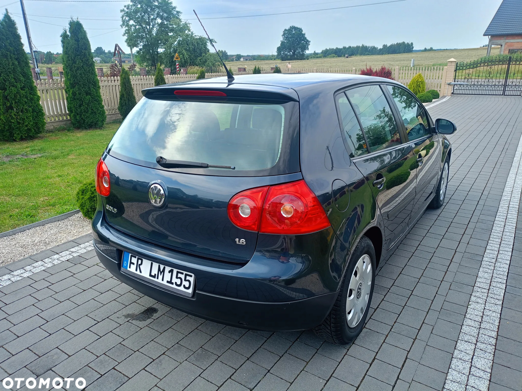 Volkswagen Golf - 8