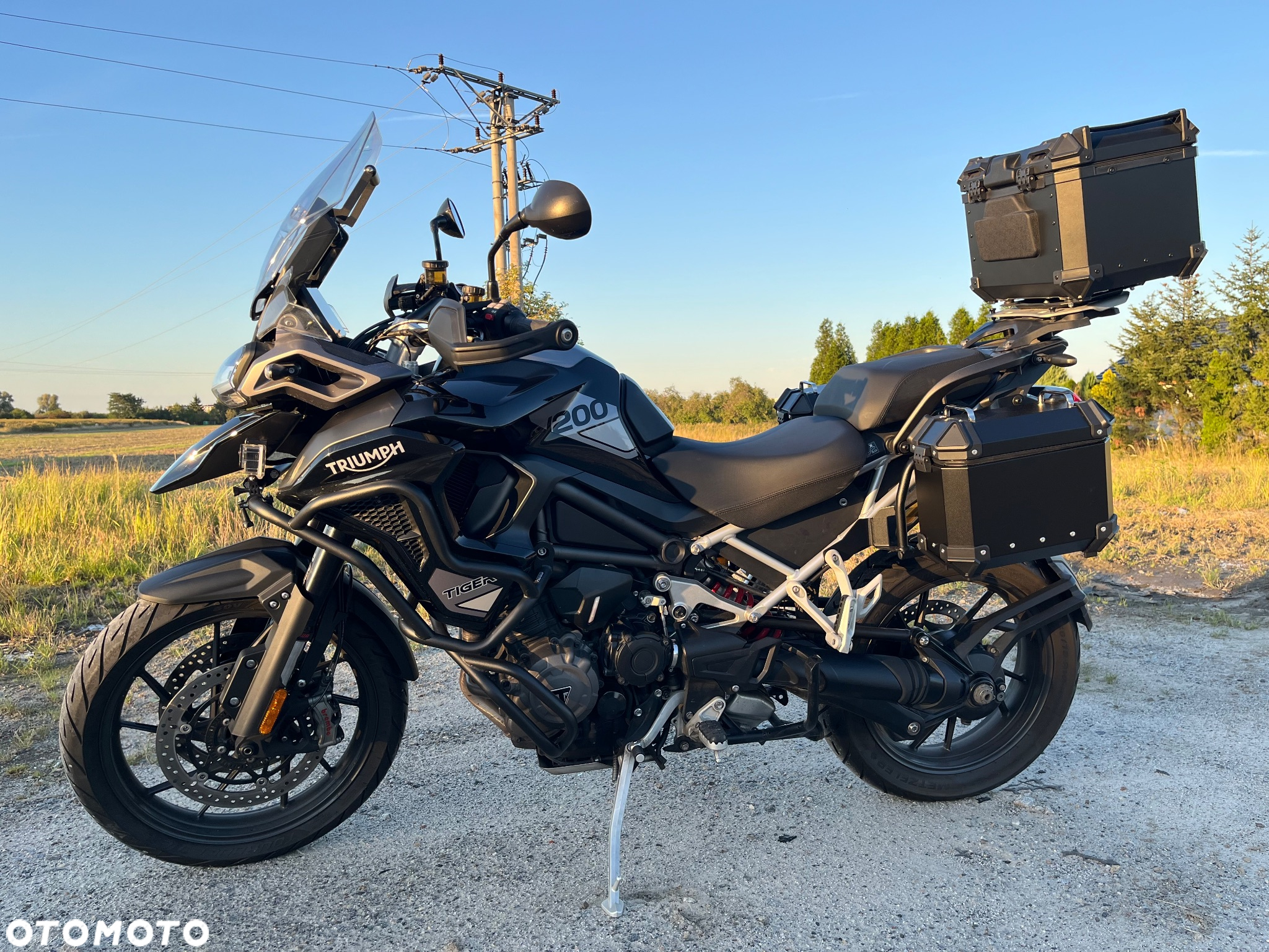 Triumph Tiger - 7