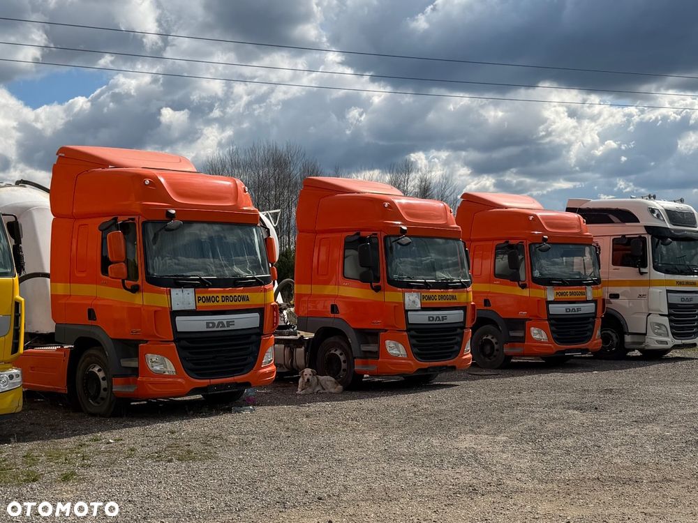 DAF - 34