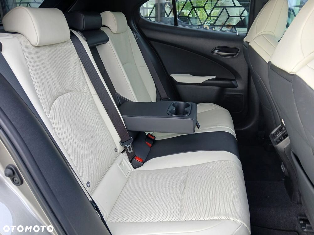 Lexus UX 300h F Sport AWD - 33