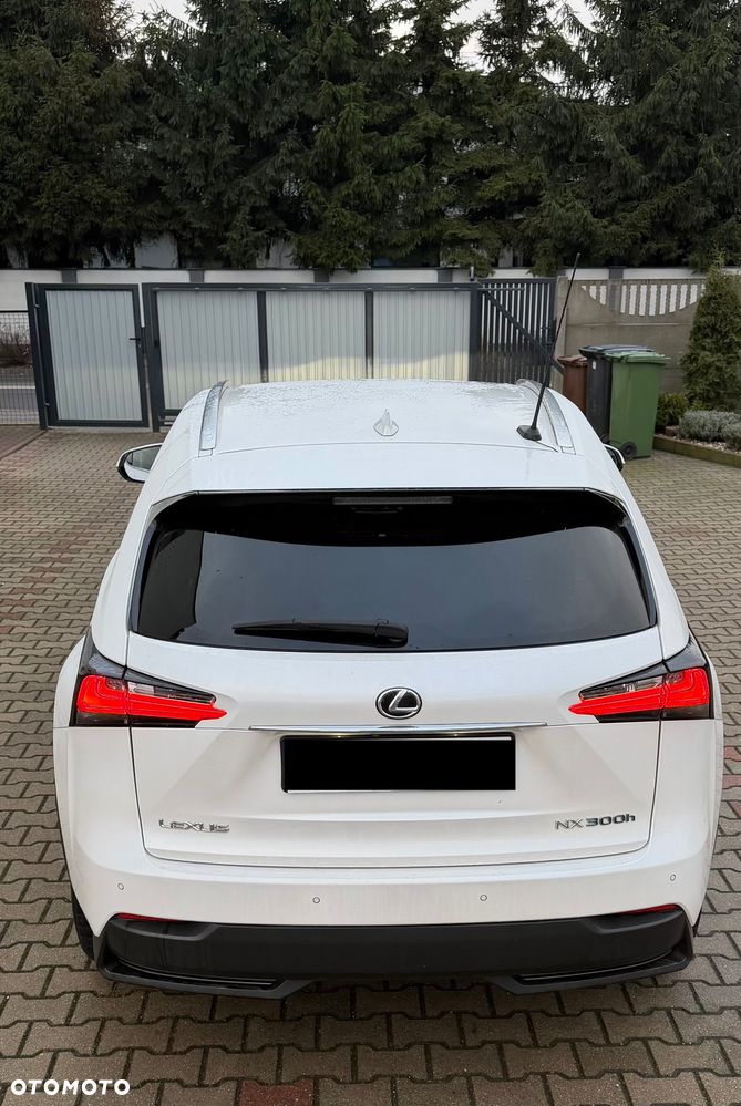 Lexus NX 300h Elegance AWD - 22