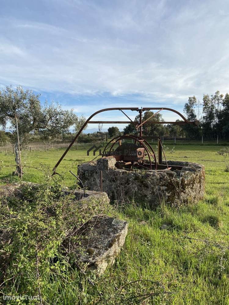 Quinta com arrecadação - Grande imagem: 5/11