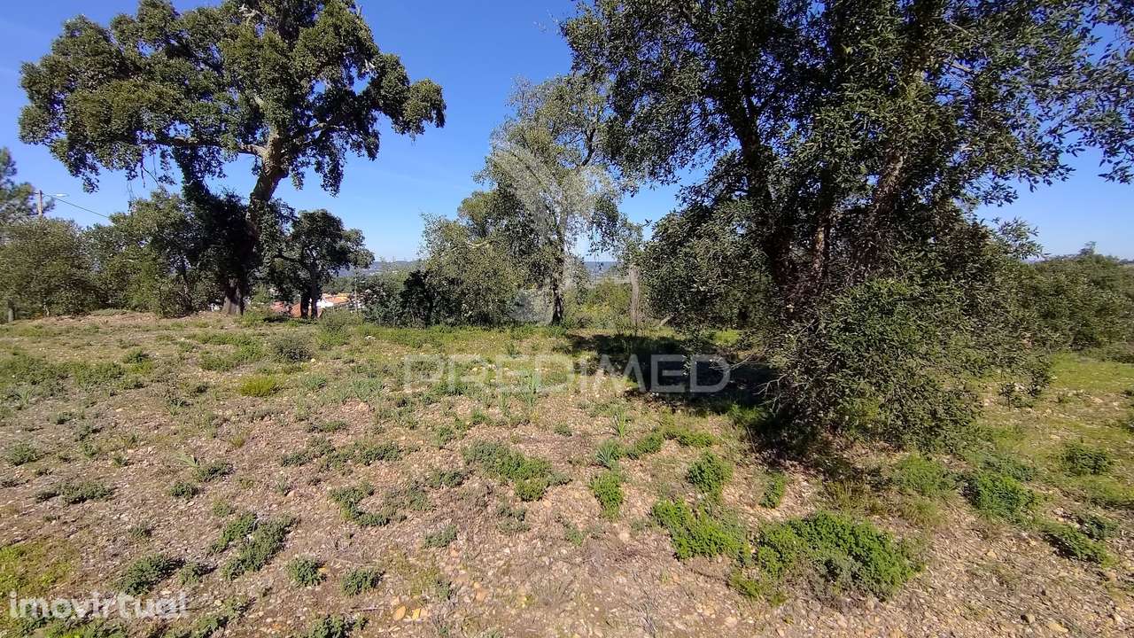 Terreno Rústico 1640 m2 - Grande imagem: 4/23