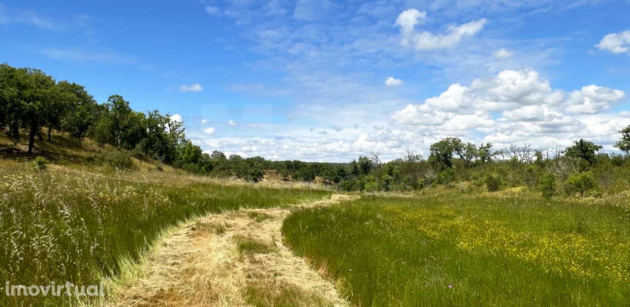Herdade com 11,6 hectares em São Bartolomeu da Serra, Santiago do C... - Grande imagem: 2/50