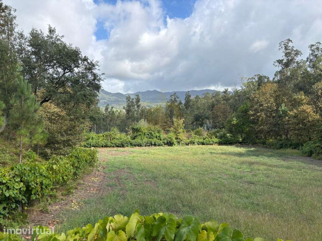 Terreno Agrícola com 5.625 m² | Verim - Póvoa de Lanhoso - Grande imagem: 4/21