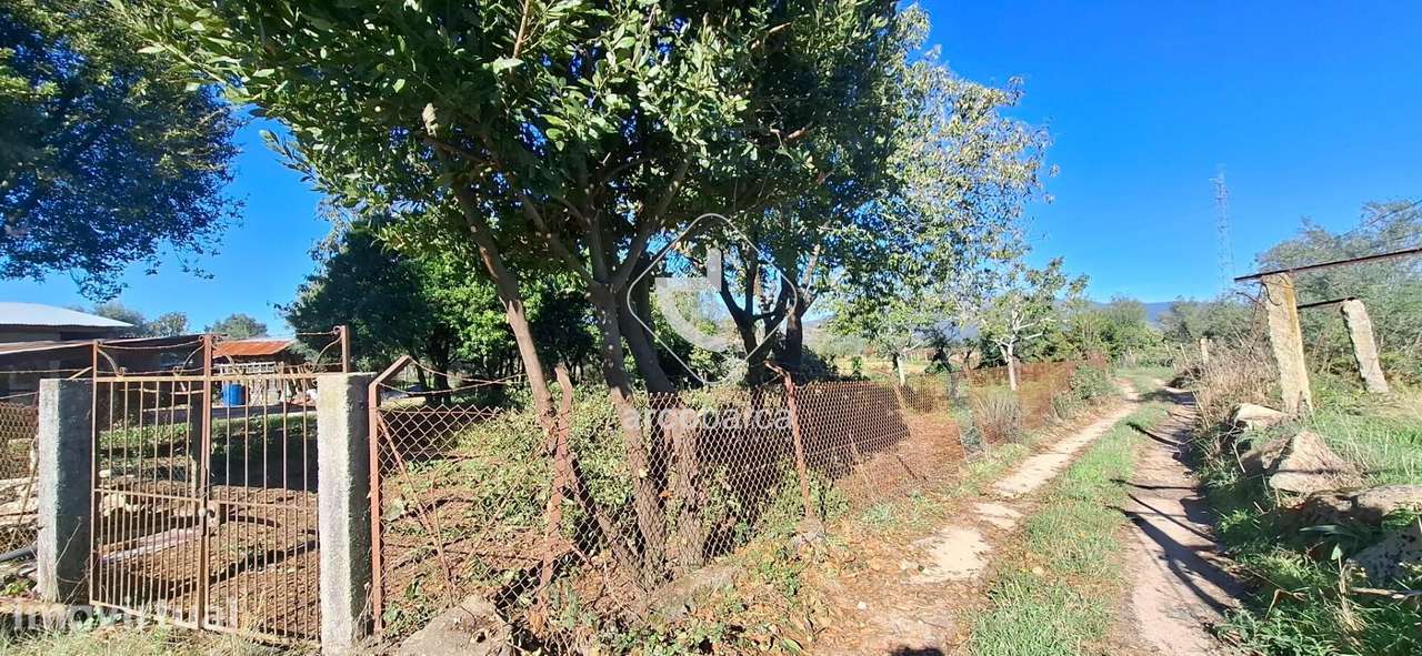 Terreno com viabilidade construtiva c/700 m2(aprx.) e área total 11.37 - Grande imagem: 2/21
