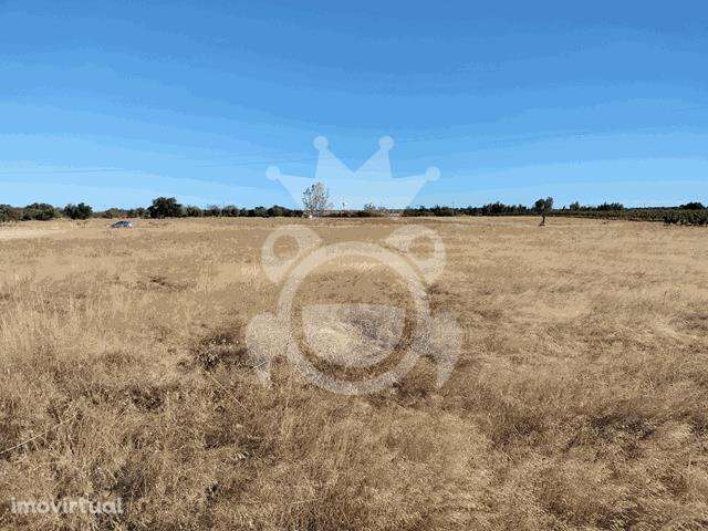 TERRENO RÚSTICO 4500 M2 - Grande imagem: 2/9