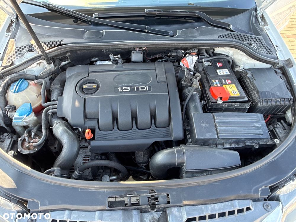 Audi A3 3-drzwiowe 1.9 TDI DPF Ambiente - 19