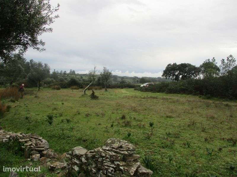 Terreno - Grande imagem: 3/8