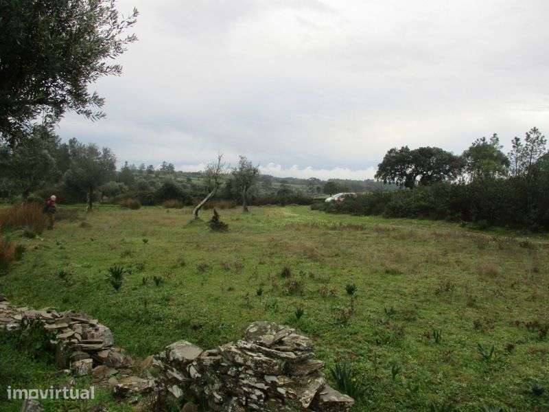 Terreno - Grande imagem: 3/8