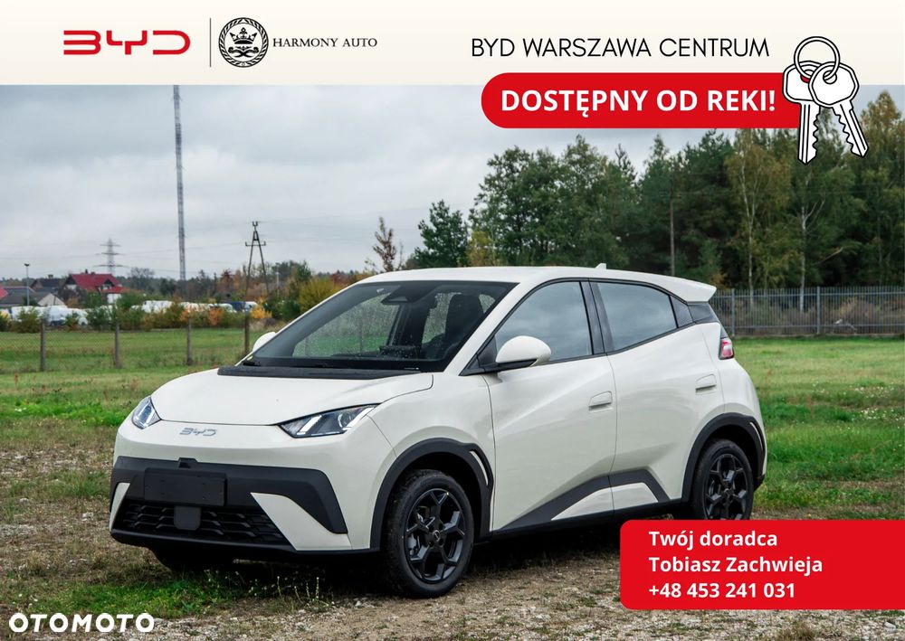 BYD Dolphin Surf - 1