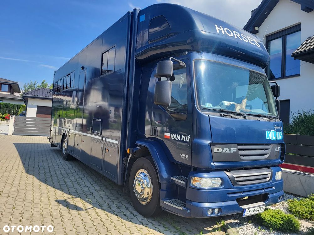 DAF 55.220 - 2