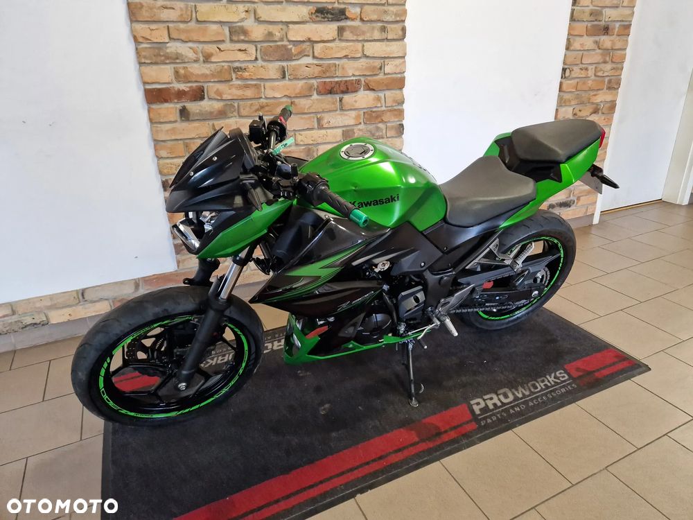 Kawasaki Z - 10