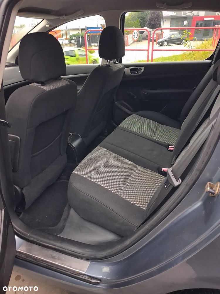 Peugeot 307 1.6 XS - 9