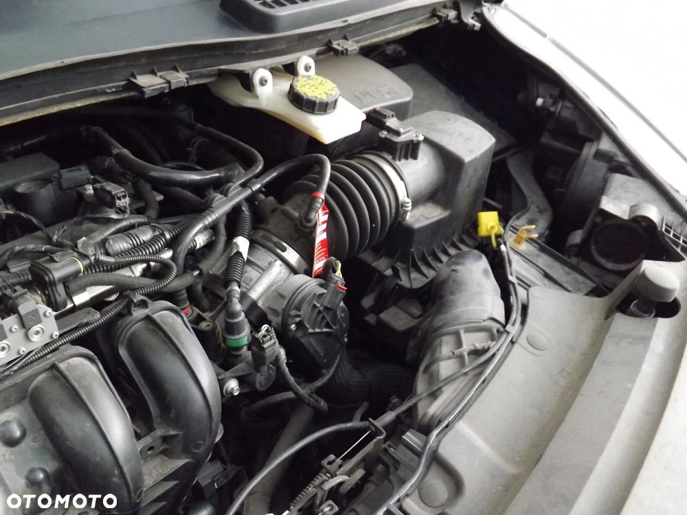 Ford Escape - 18