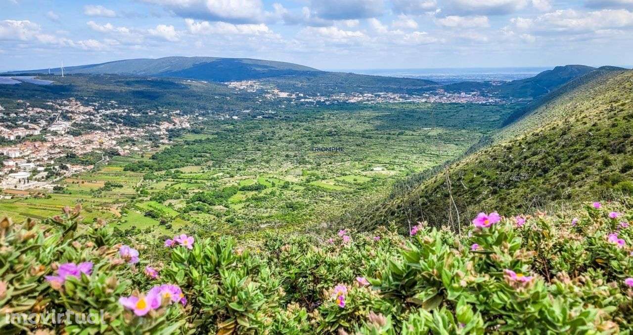 Espaço Comercial Centro de Porto de Mós - Grande imagem: 5/15