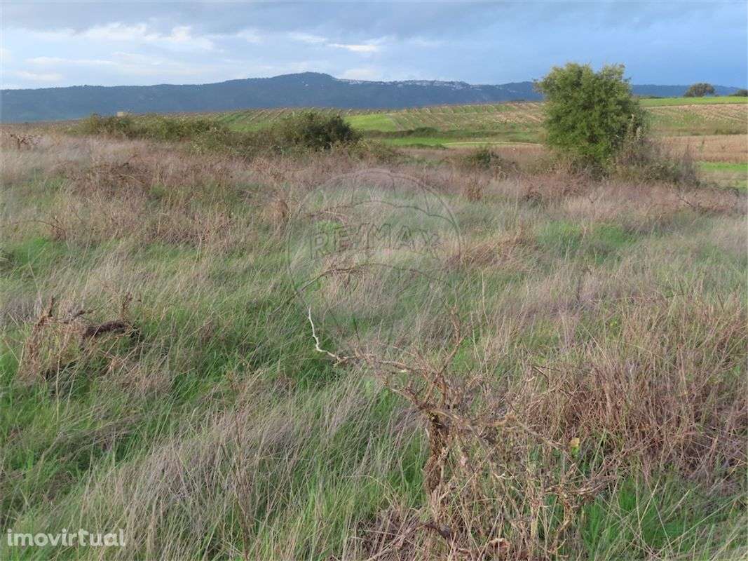 Quinta T0 para venda - Grande imagem: 2/21