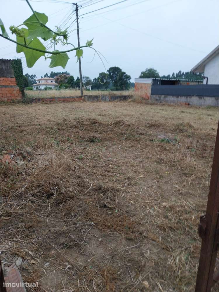 Terreno Troviscal 356,65 m2 - Oliveira do Bairro - Grande imagem: 2/6