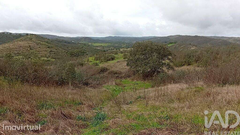 Terreno Agrícola em Ameixial - Grande imagem: 2/8