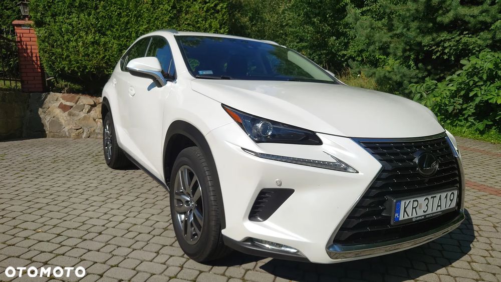 Lexus NX 300 F Sport AWD - 2