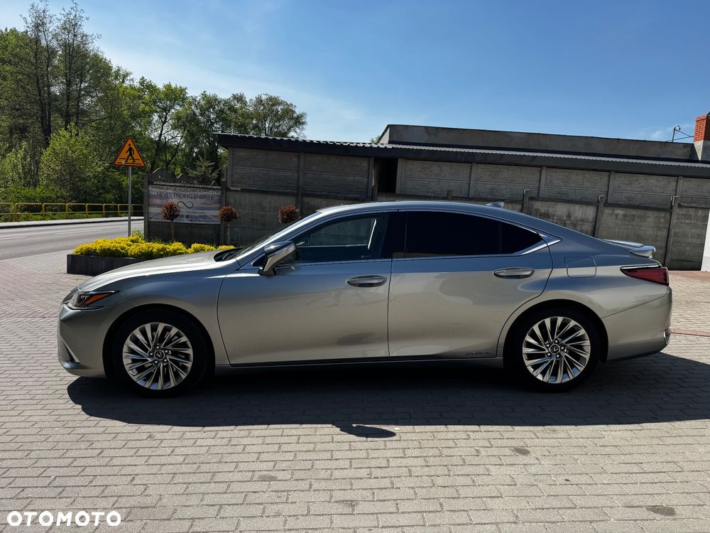 Lexus ES 300h Omotenashi - 9
