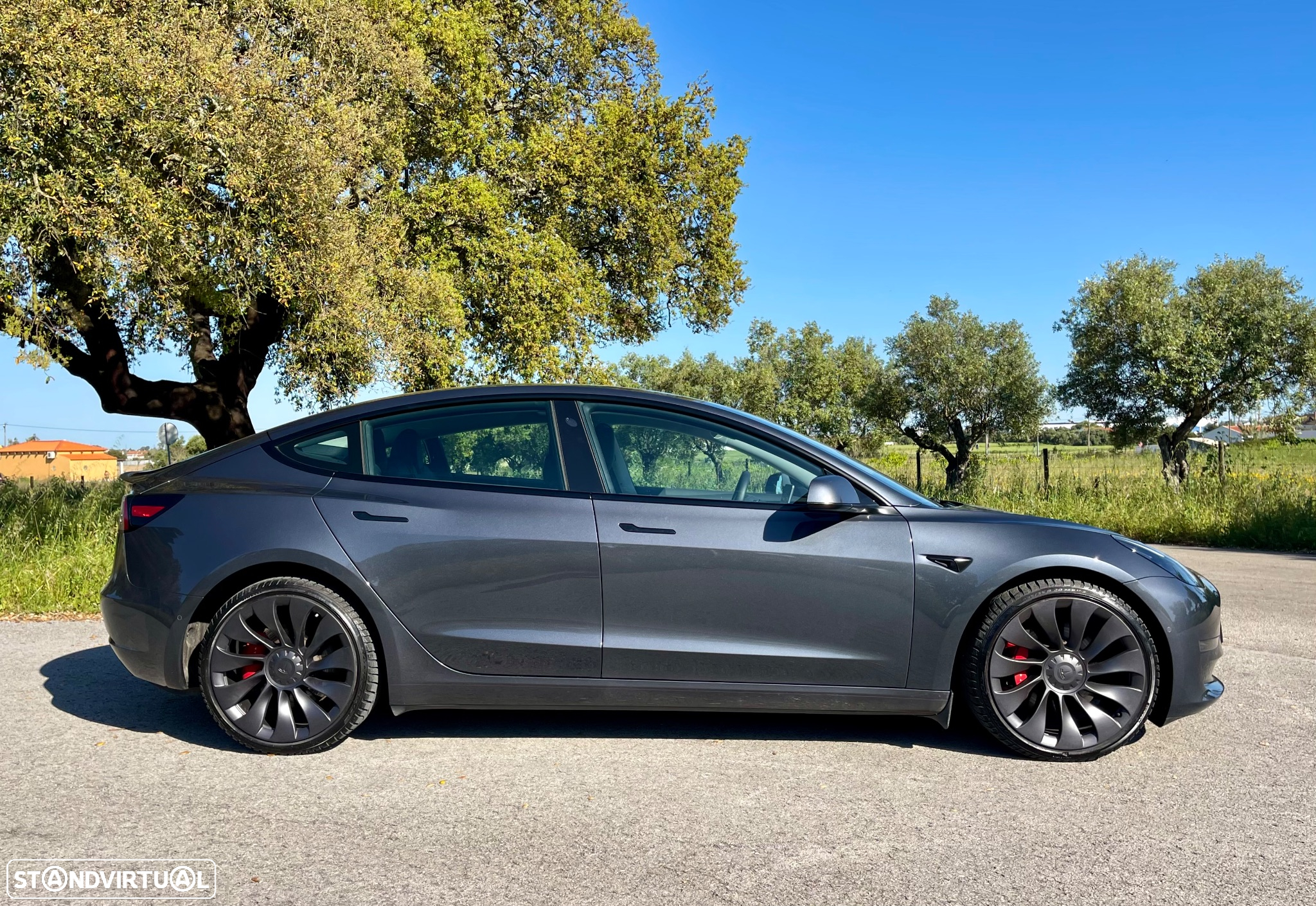 Tesla Model 3 Performance Dual Motor AWD - 5