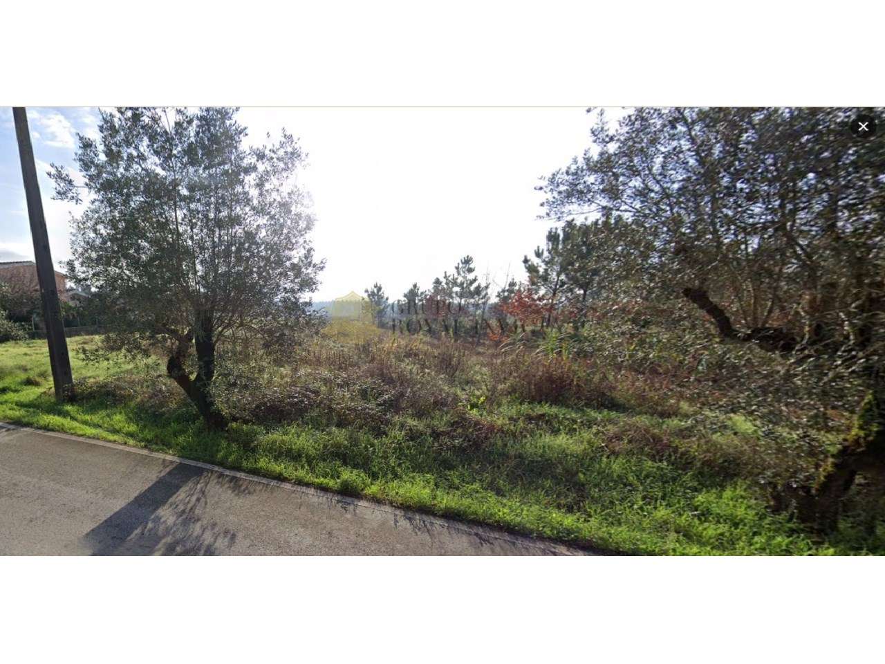 Terreno Urbano para venda em Anadia - Aveiro - Grande imagem: 4/6